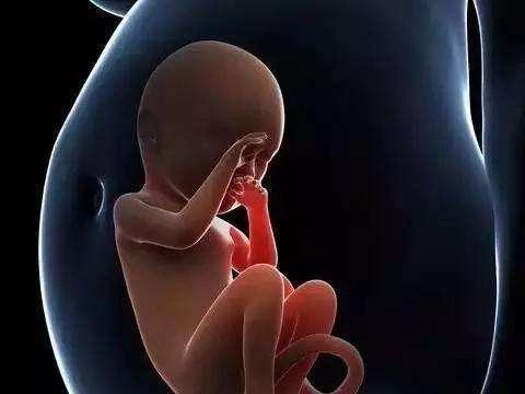 婴儿握避孕环出生